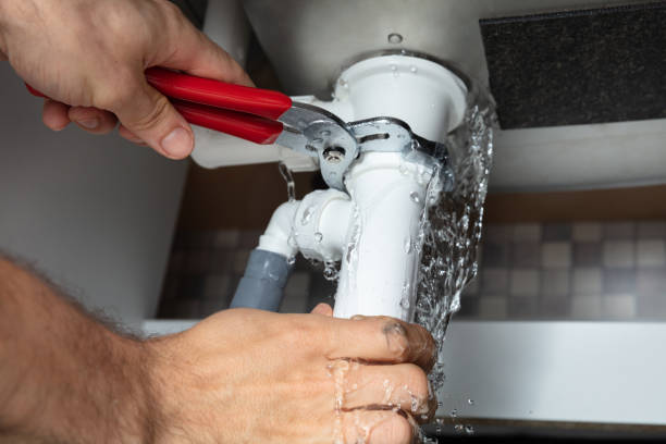 Best Flood damage cleanup  in Schofield Barracks, HI