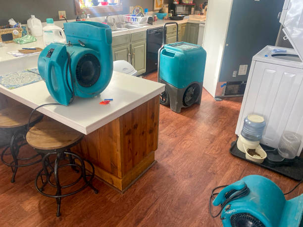 Best Carpet water damage restoration  in Schofield Barracks, HI
