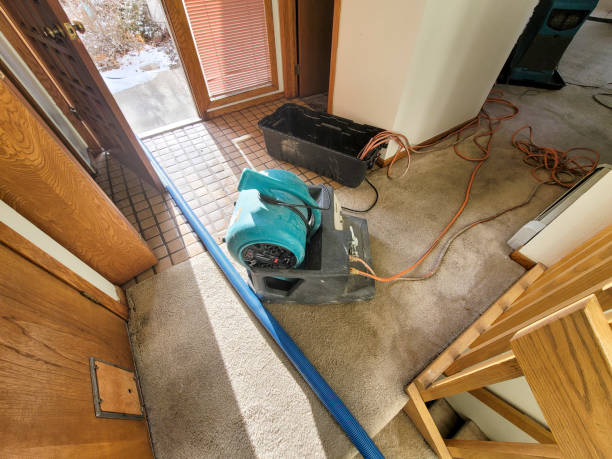 Best Water damage cleanup near me  in Schofield Barracks, HI