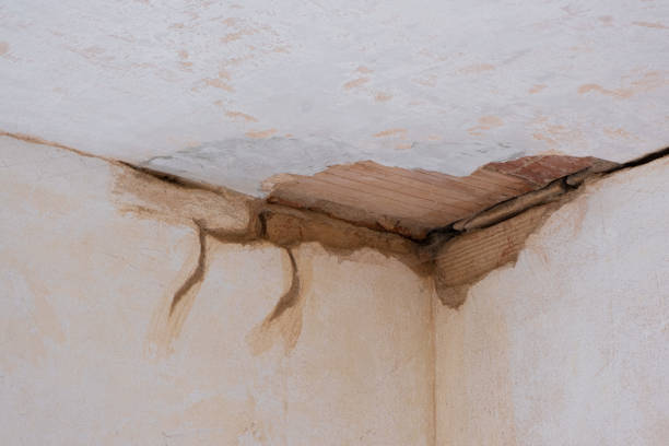 Best Residential water damage restoration  in Schofield Barracks, HI