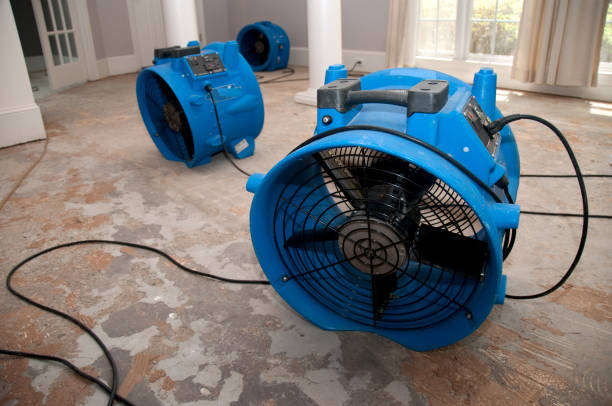 Best Ceiling water damage repair  in Schofield Barracks, HI