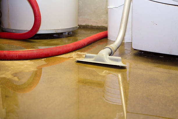 Best 24-hour water damage restoration  in Schofield Barracks, HI
