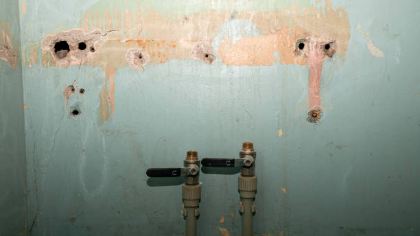 Best Water damage contractors near me  in Schofield Barracks, HI