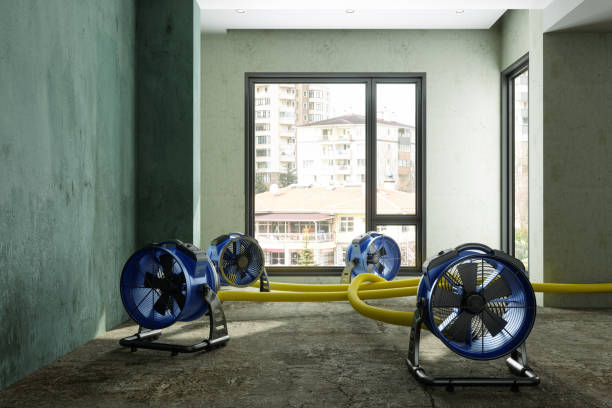 Best Water damage restoration near me  in Schofield Barracks, HI